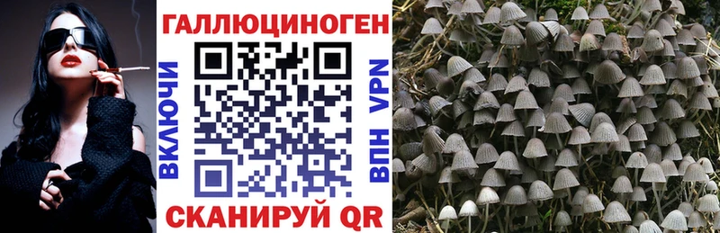 Псилоцибиновые грибы Psilocybe  Купить  Борзя 
